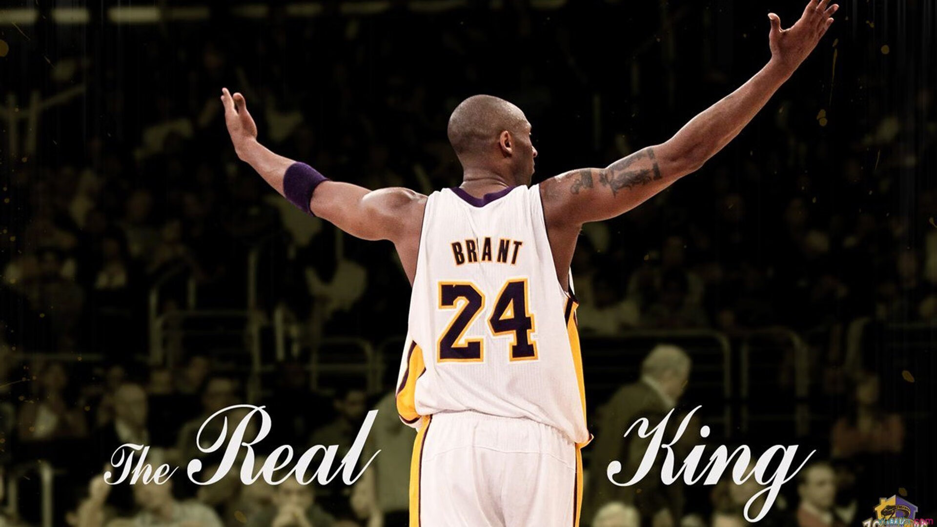 全明星赛星光璀璨,东西部巨星上演巅峰对决