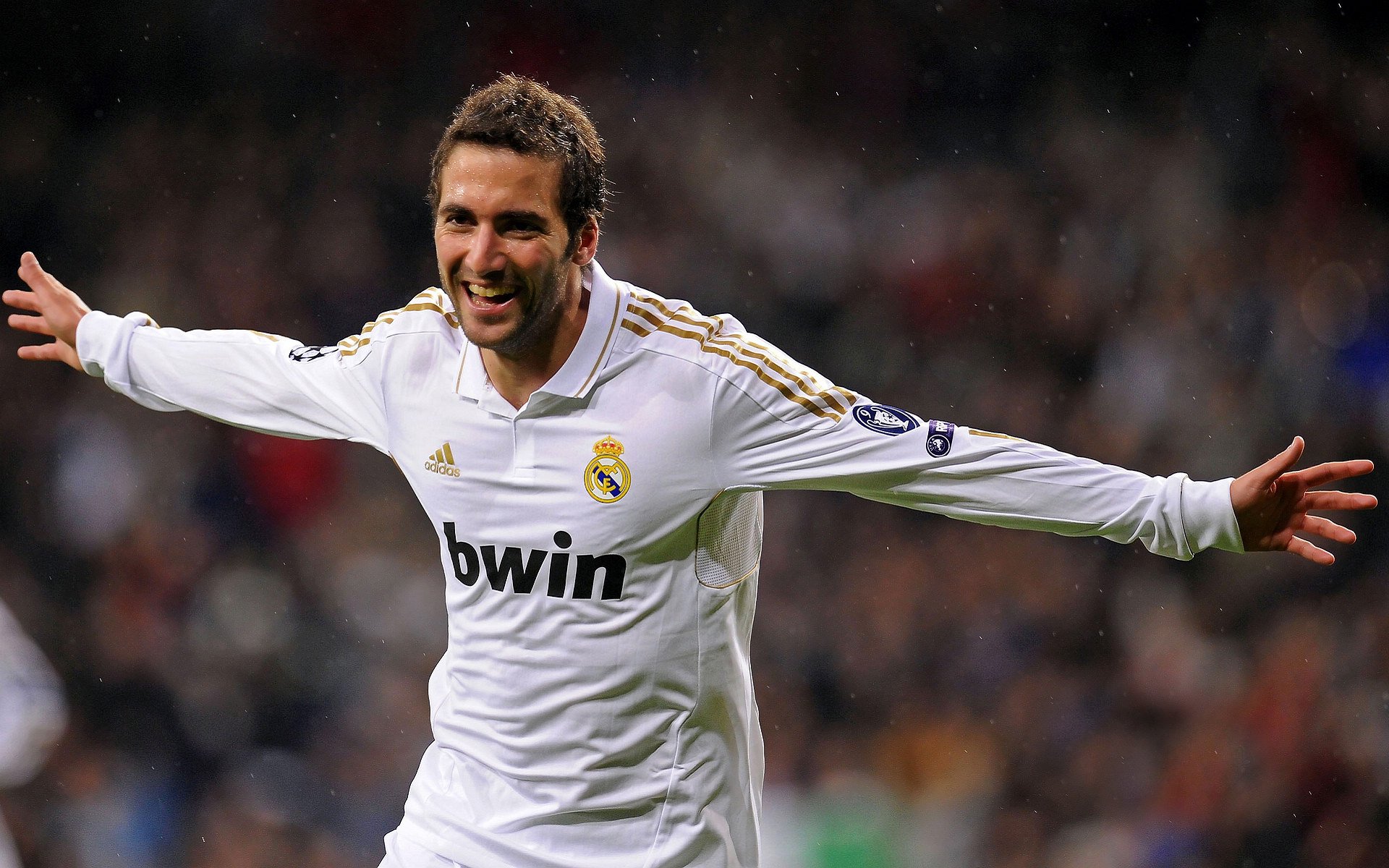 狂热与温情并存,深度解析当代球迷文化的多元魅力